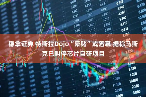 稳拿证券 特斯拉Dojo“豪赌”或落幕 据称马斯克已叫停芯片自研项目