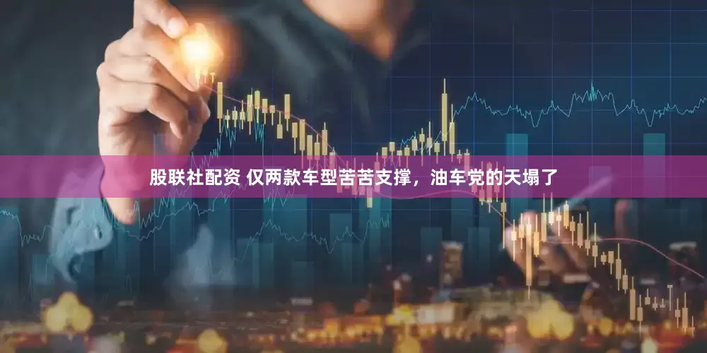 股联社配资 仅两款车型苦苦支撑，油车党的天塌了