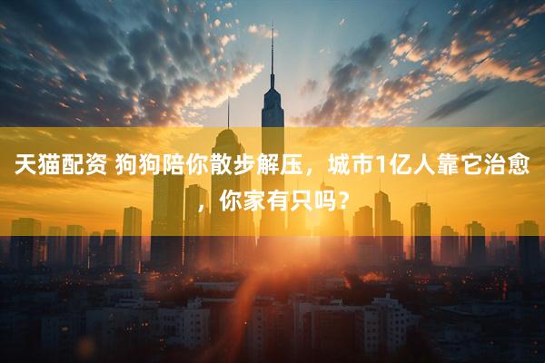 天猫配资 狗狗陪你散步解压，城市1亿人靠它治愈，你家有只吗？
