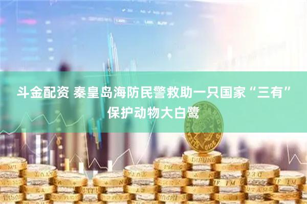斗金配资 秦皇岛海防民警救助一只国家“三有”保护动物大白鹭