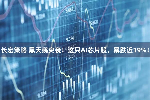 长宏策略 黑天鹅突袭！这只AI芯片股，暴跌近19%！
