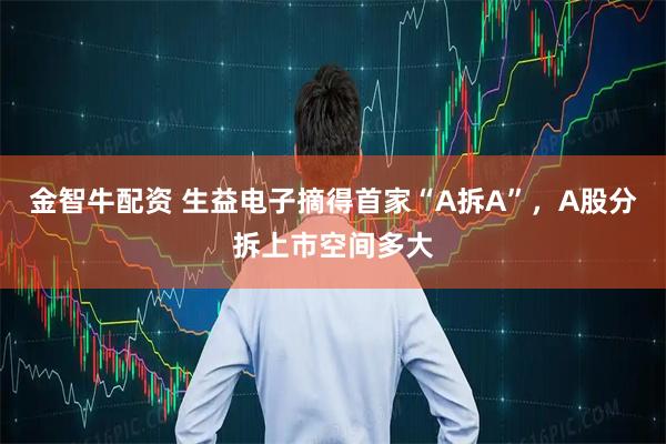 金智牛配资 生益电子摘得首家“A拆A”，A股分拆上市空间多大