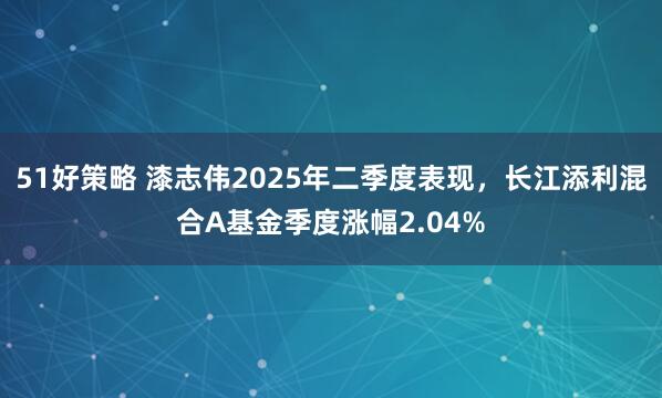 51好策略 漆志伟2025年二季度表现，长江添利混合A基金季度涨幅2.04%