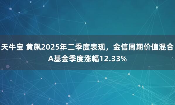 天牛宝 黄飙2025年二季度表现，金信周期价值混合A基金季度涨幅12.33%