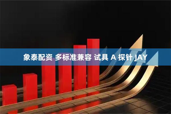 象泰配资 多标准兼容 试具 A 探针 JAY